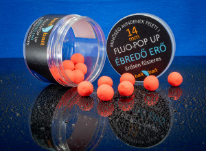 Ébredő Erő – Fluo Pop Up