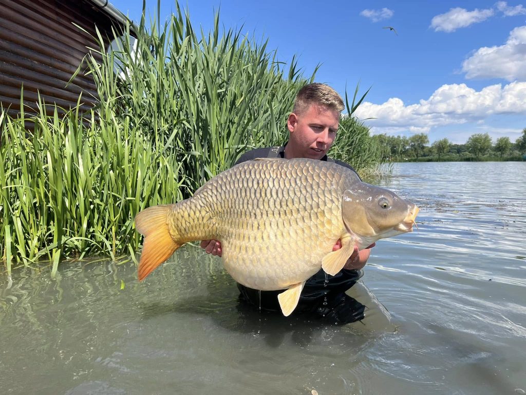 Tokaji Kovács tó 96 óra 7db 20kg+ Tisza Baits bojlival!
